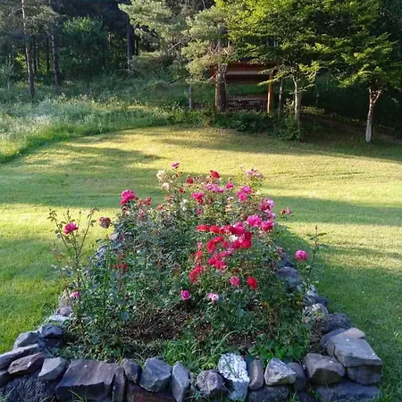 Palucak 30 * Babice Gornje