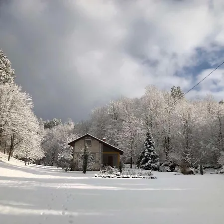 Palucak 30 * Babice Gornje