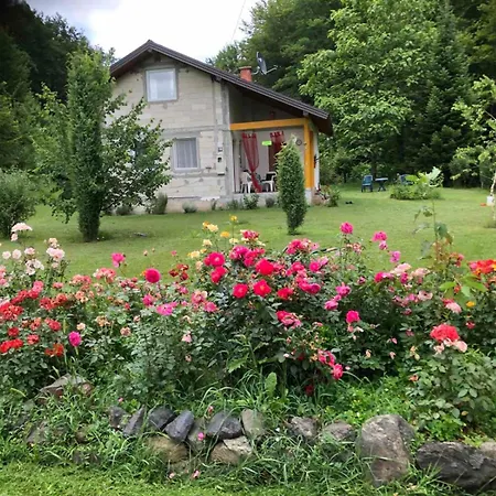 Holiday home Palucak 30 *