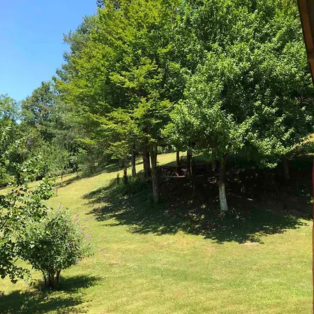 Ferienhaus Palucak 30 *